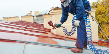 Water Proofing and Pest Control